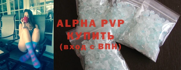 индика Дмитров