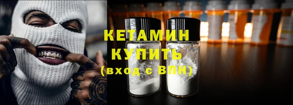 прущие грибы Дмитриев