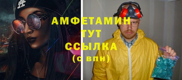 прущие грибы Дмитриев