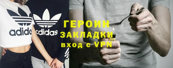 прущие грибы Дмитриев