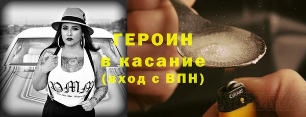 индика Дмитров