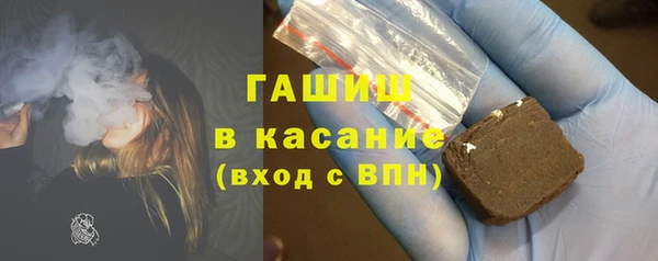 индика Дмитров
