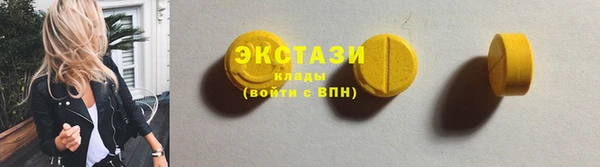 индика Дмитров