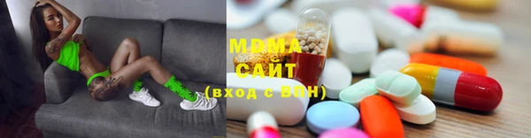 индика Дмитров