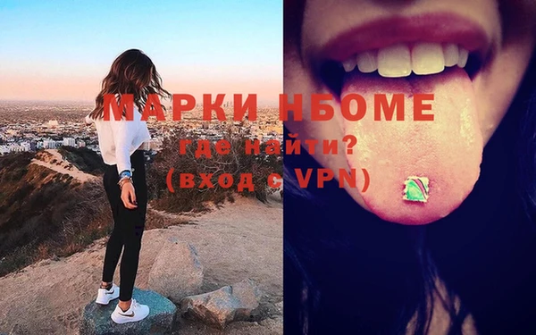 индика Дмитров