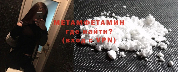 прущие грибы Дмитриев