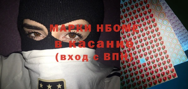 прущие грибы Дмитриев