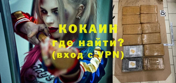 прущие грибы Дмитриев