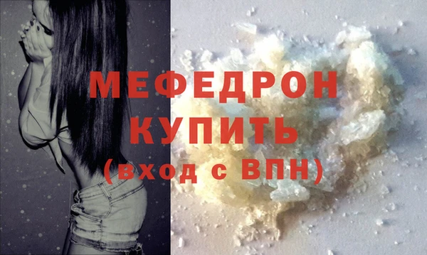 индика Дмитров