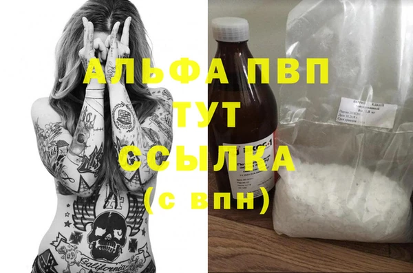 индика Дмитров