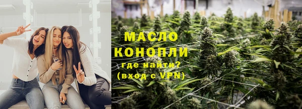индика Дмитров