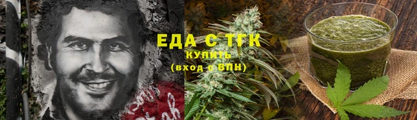 индика Дмитров
