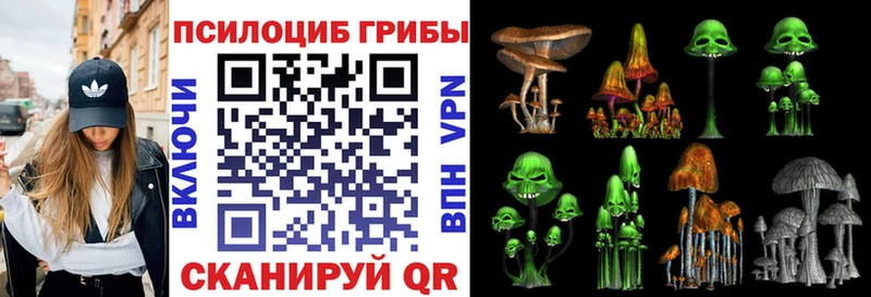 Купить где  Лермонтов  Псилоцибиновые грибы MAGIC MUSHROOMS 