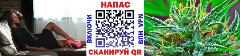 Бошки Шишки THC 21%  Купить закладки  Лермонтов 